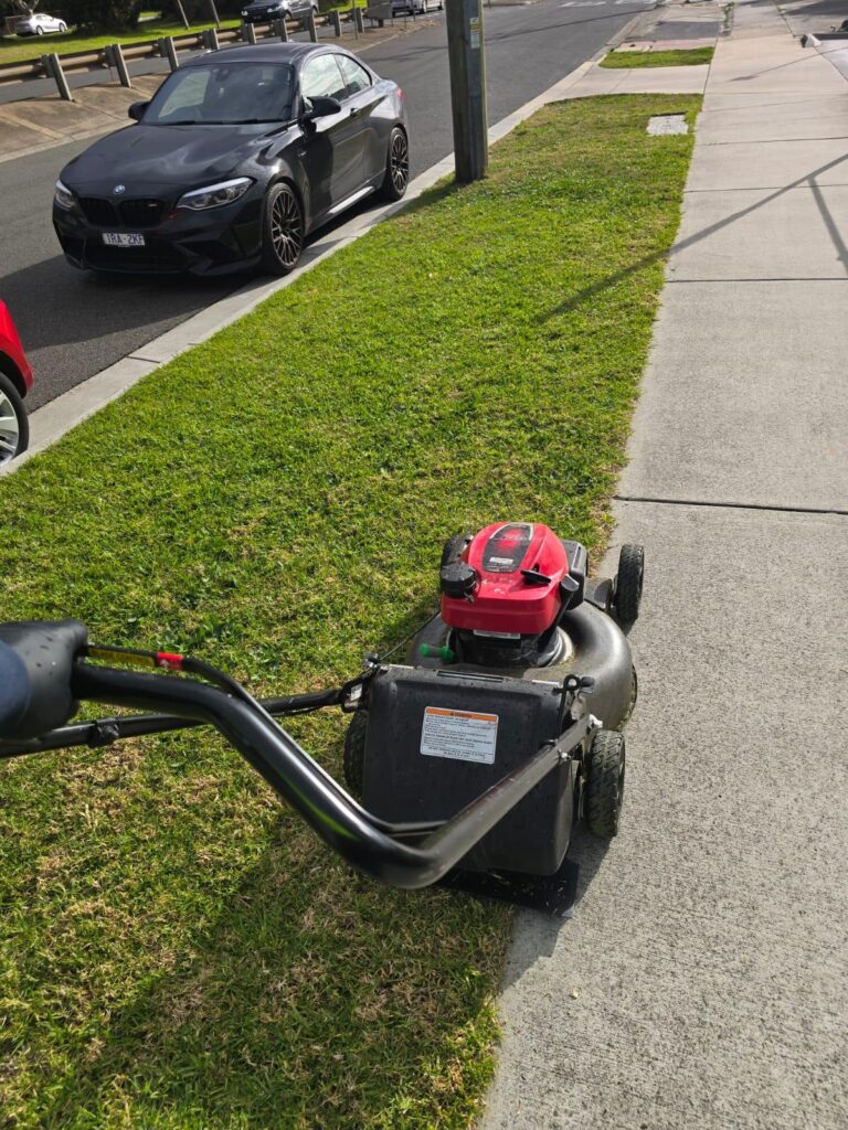 Beautiful green garden maintenance