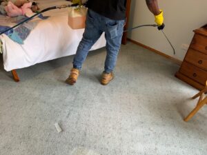 Fresh and hygienic couch cleaning