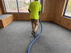 Carpet stain removal experts Melbourne