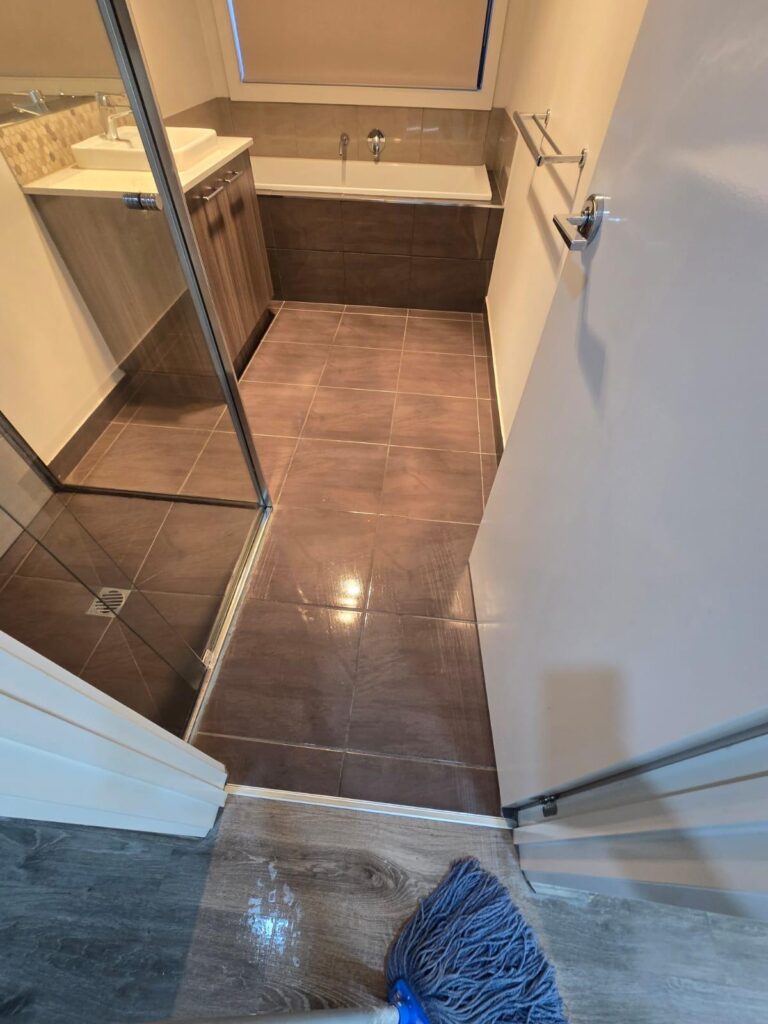 Fresh and clean carpet after steam cleaning
